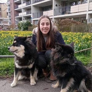 Angela, Kattenoppas in 's Gravenhage