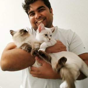 HS, Kattenoppas in Duizel