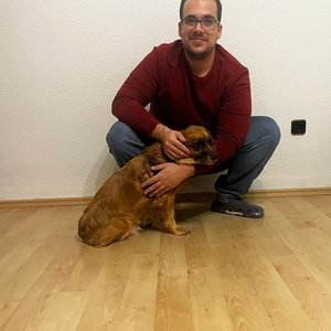 Joel, Haussitting in Langenfeld (rheinland)