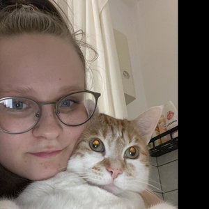 Laura, Seniorenhundebetreuung in Willich