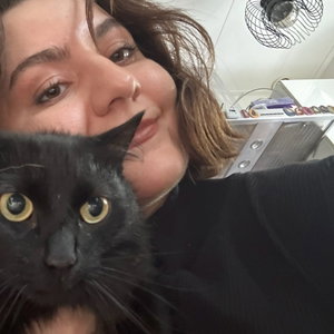 Ekin, Kattenoppas in Amstelhoek
