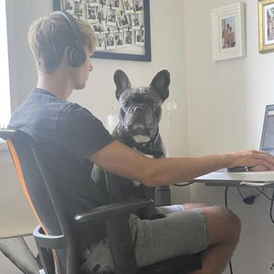 Tom, Seniorenhundebetreuung in Hamburg