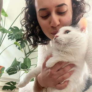Hilal, Kattenoppas in Nederland
