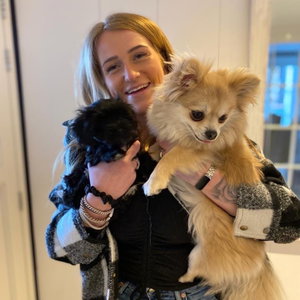 Maxime, Puppyopvang in Haarlem