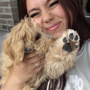 Sam, Puppyopvang in Kinrooi