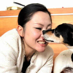 Asako, Hondenoppas in Voordijkshoorn, Delft