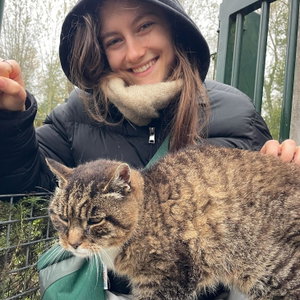 Caroline, Kattenoppas in Laurenskwartier, Rotterdam