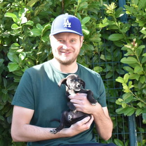 Dinko, Puppyopvang in Stadsdriehoek, Rotterdam