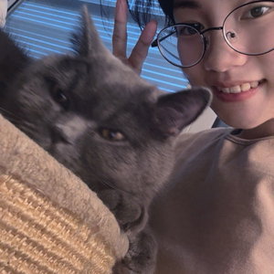 yao, Kattenoppas in 's Gravenhage