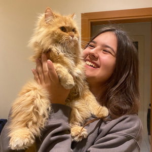 Ayse Ece, Kattenoppas in 's Gravenhage