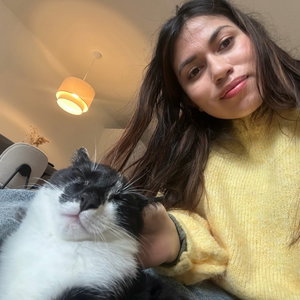 Luisa, Kattenoppas in Oosterheem, Zoetermeer