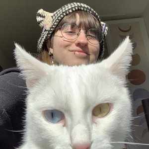 Defne, Cat Sitting in Zuilen Noord En Oost, Utrecht