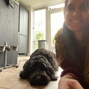 Priscila, Hondenoppas in Utrecht