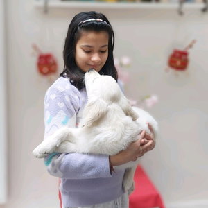 Dishita, Pet Sitting in Noordoost, Utrecht