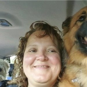 Olga, Hondenuitlaatservice in Son En Breugel