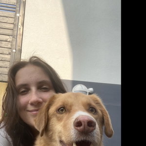 Karoline, Seniorenhundebetreuung in Berlin
