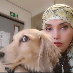 Rasha, Hondenpension in Amsterda