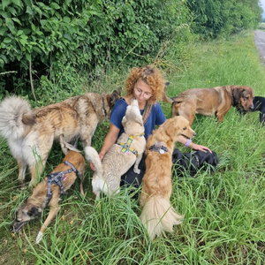 katrin, Seniorenhundebetreuung in Julich