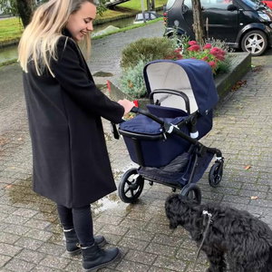 Babette, Dog Boarding in De Zilk