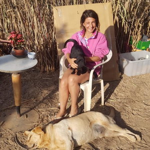 Daniela, Hondenoppas in Egmond Binnen