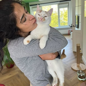 Naz, Kattenoppas in 's Gravenhage