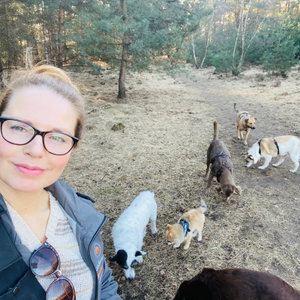 Nina, Hondenpension in Nederweert