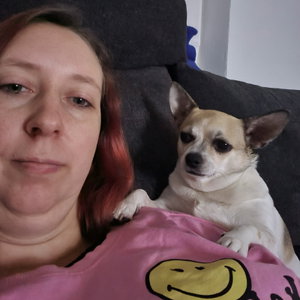 Bianca, Dog Sitting in Schwabisch Gmund