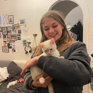 jade, Kattenoppas in De Pijp, Amsterdam