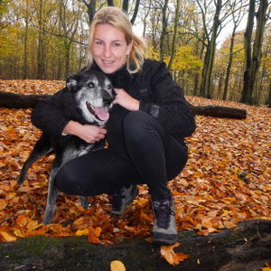 Henriette, Hondenopvang in 's Gravenhage