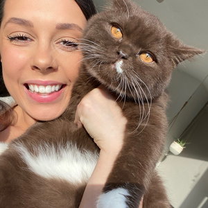 sydney, Kattenoppas in Carnisse, Rotterdam