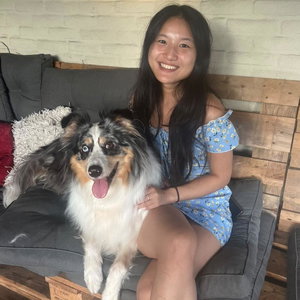 Minke, Puppyopvang in Nijmegen