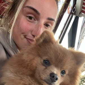 Demi, Hondenoppas in Utrecht